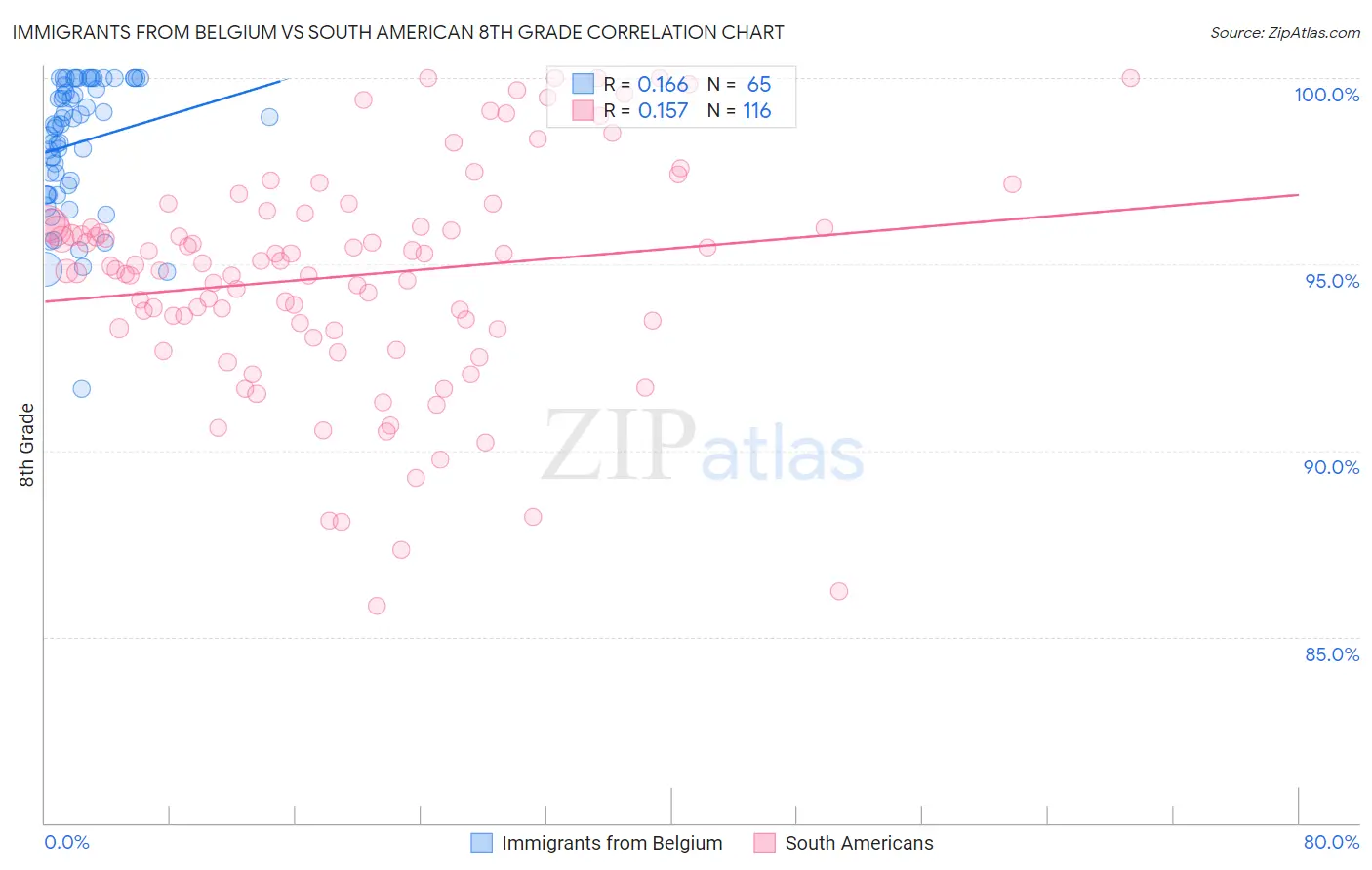 Immigrants from Belgium vs South American 8th Grade
