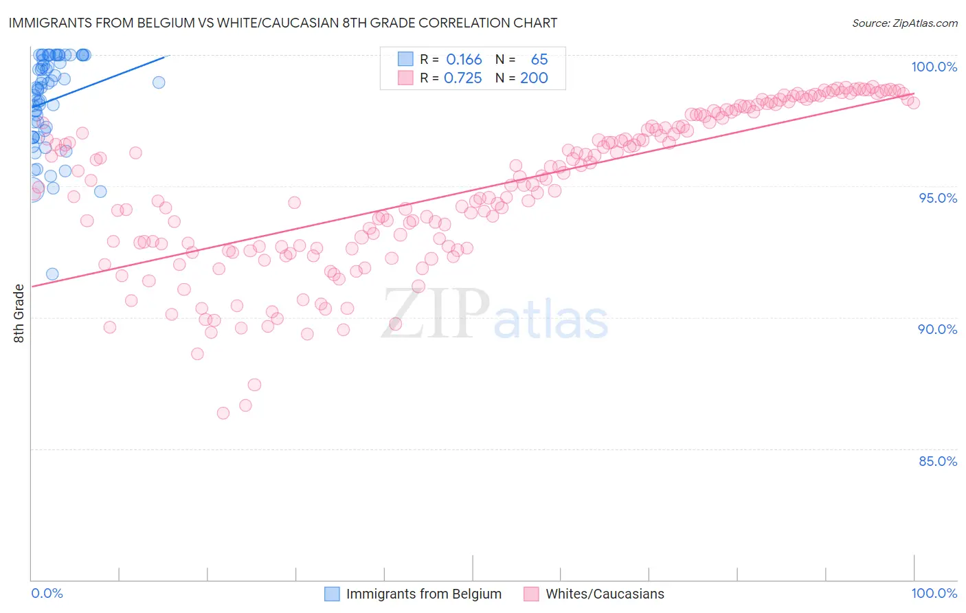 Immigrants from Belgium vs White/Caucasian 8th Grade
