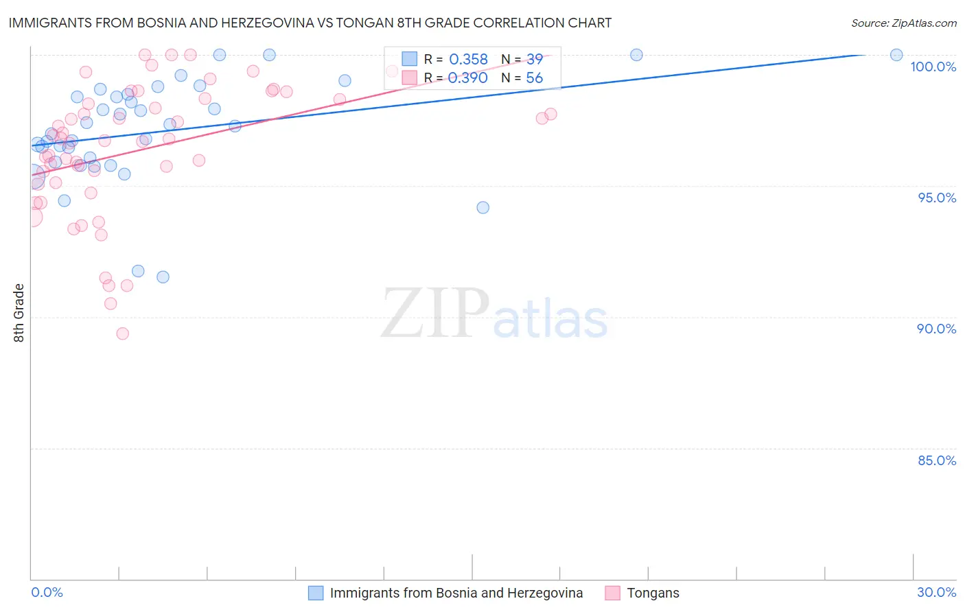 Immigrants from Bosnia and Herzegovina vs Tongan 8th Grade