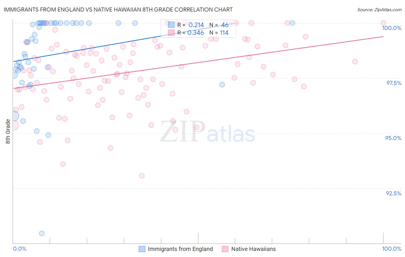 Immigrants from England vs Native Hawaiian 8th Grade