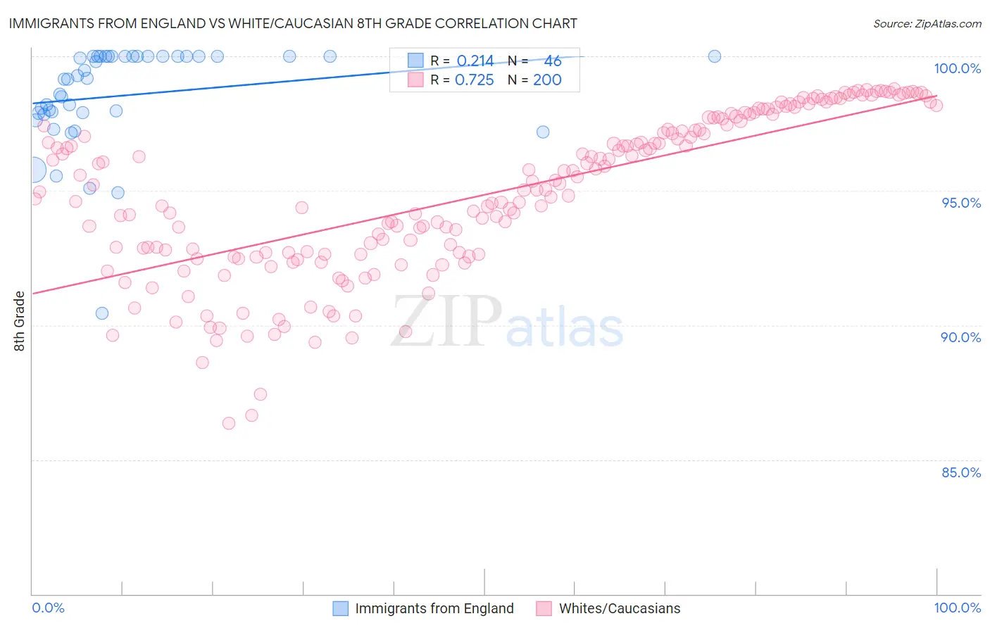 Immigrants from England vs White/Caucasian 8th Grade