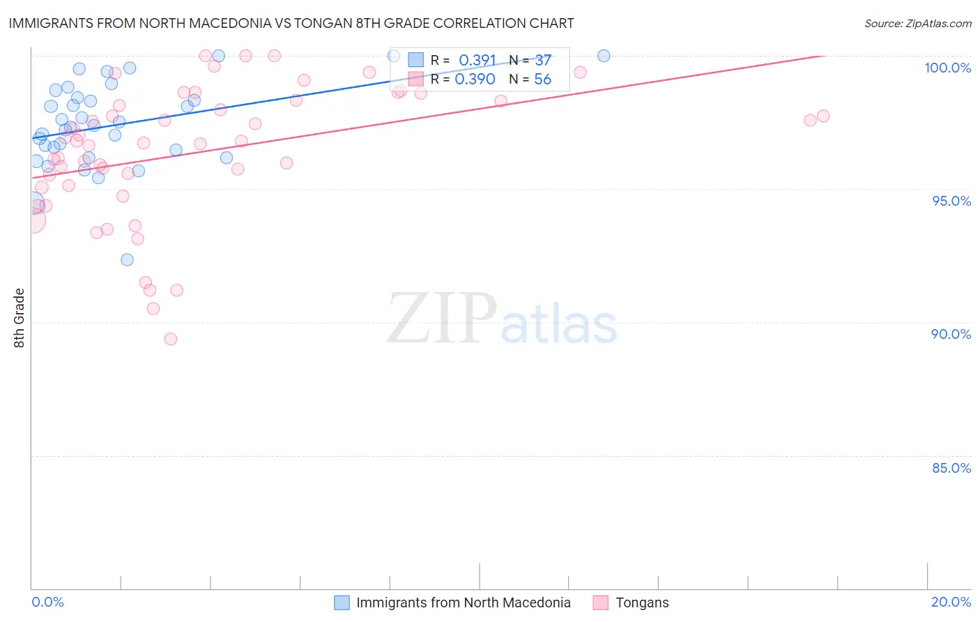 Immigrants from North Macedonia vs Tongan 8th Grade