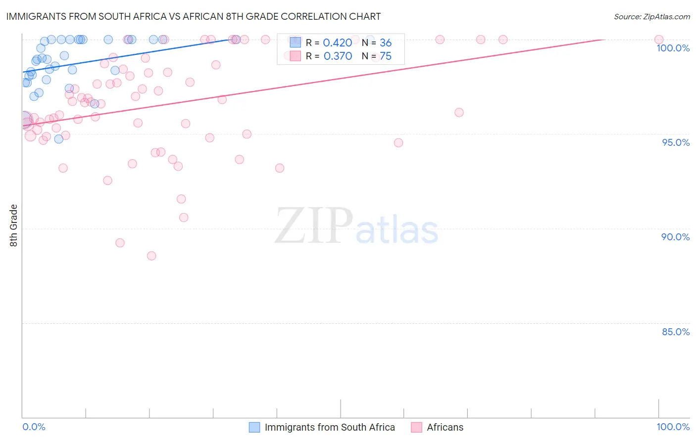 Immigrants from South Africa vs African 8th Grade