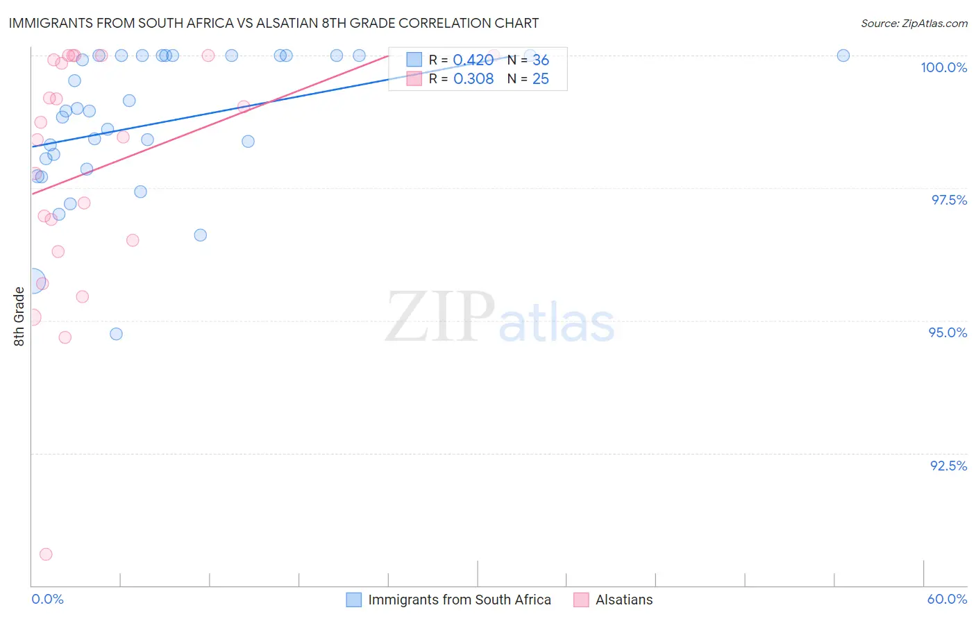 Immigrants from South Africa vs Alsatian 8th Grade