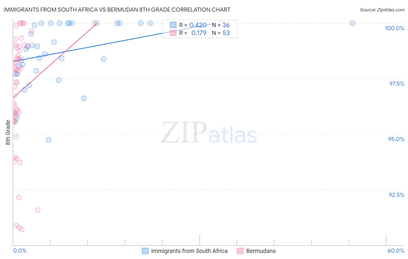 Immigrants from South Africa vs Bermudan 8th Grade