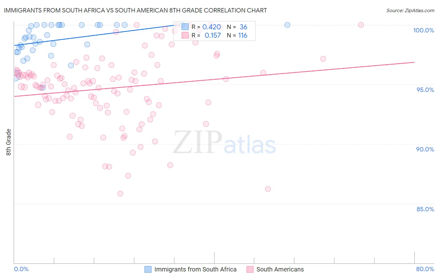 Immigrants from South Africa vs South American 8th Grade