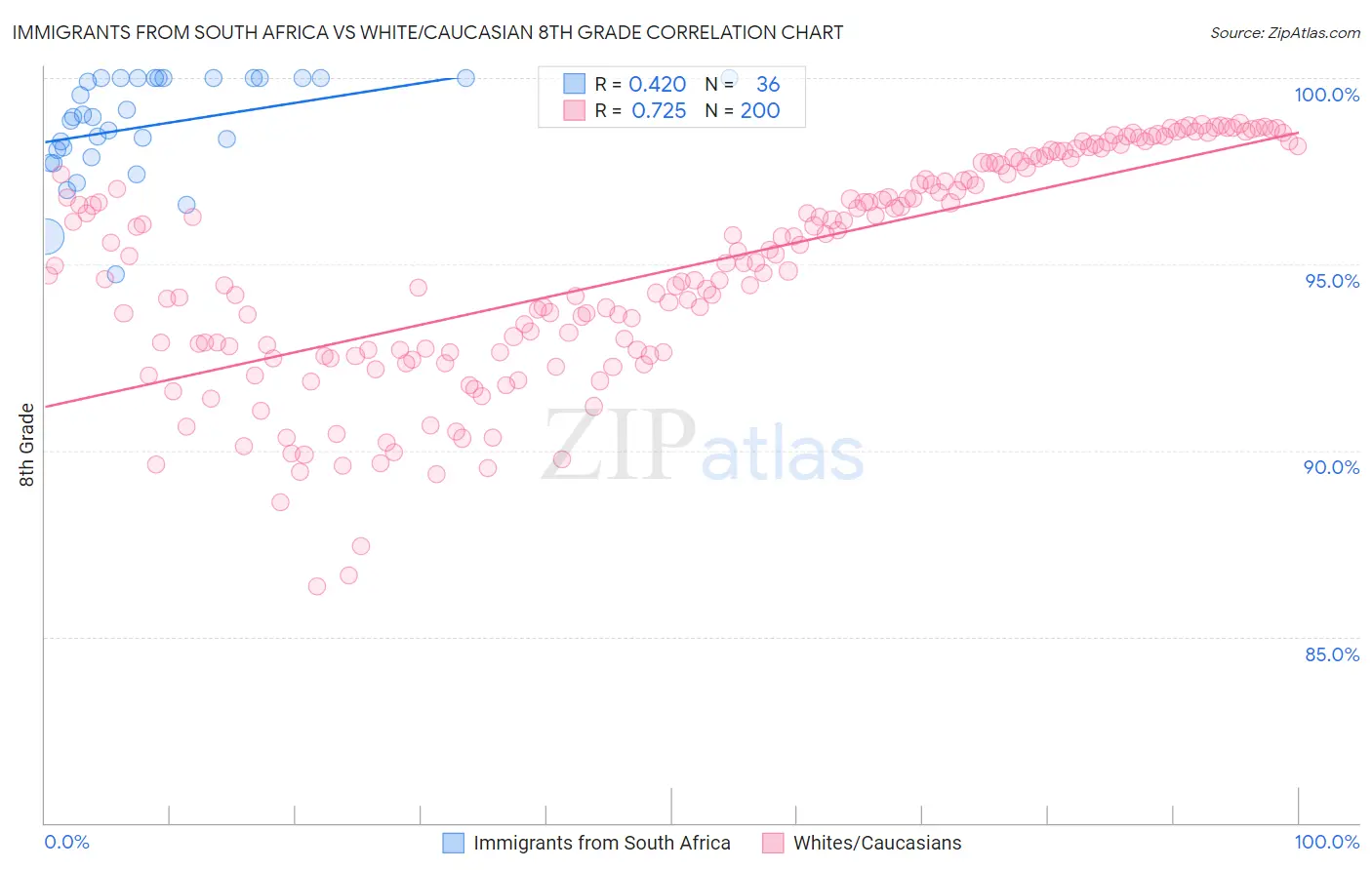 Immigrants from South Africa vs White/Caucasian 8th Grade