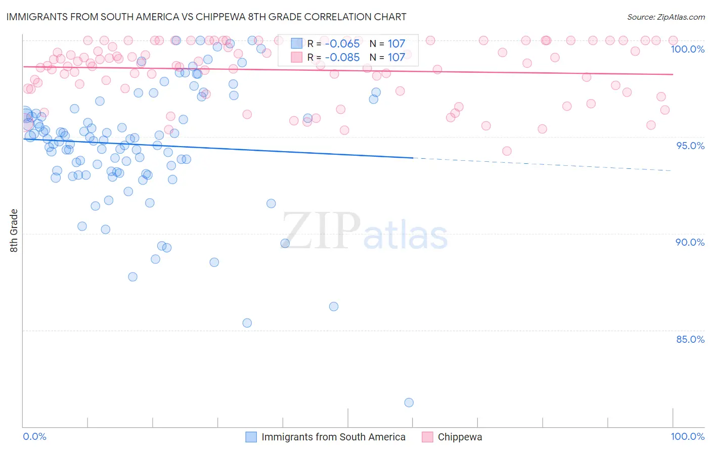 Immigrants from South America vs Chippewa 8th Grade