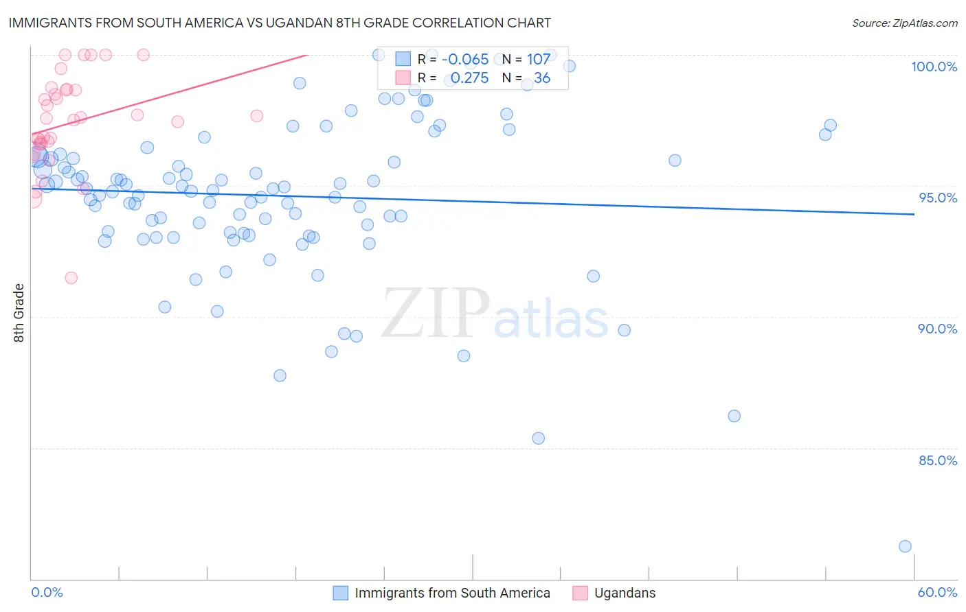 Immigrants from South America vs Ugandan 8th Grade