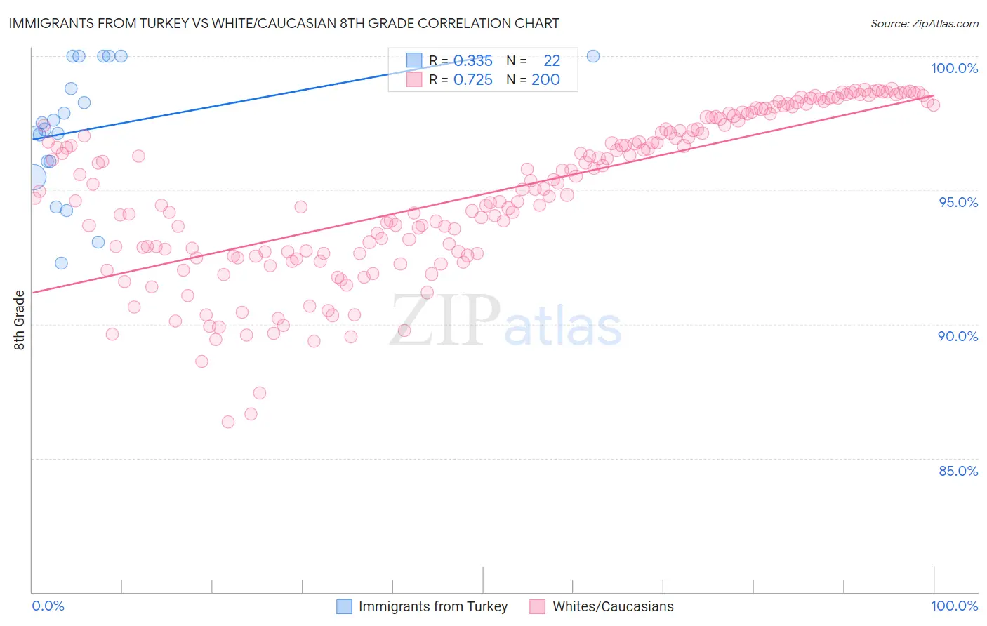 Immigrants from Turkey vs White/Caucasian 8th Grade