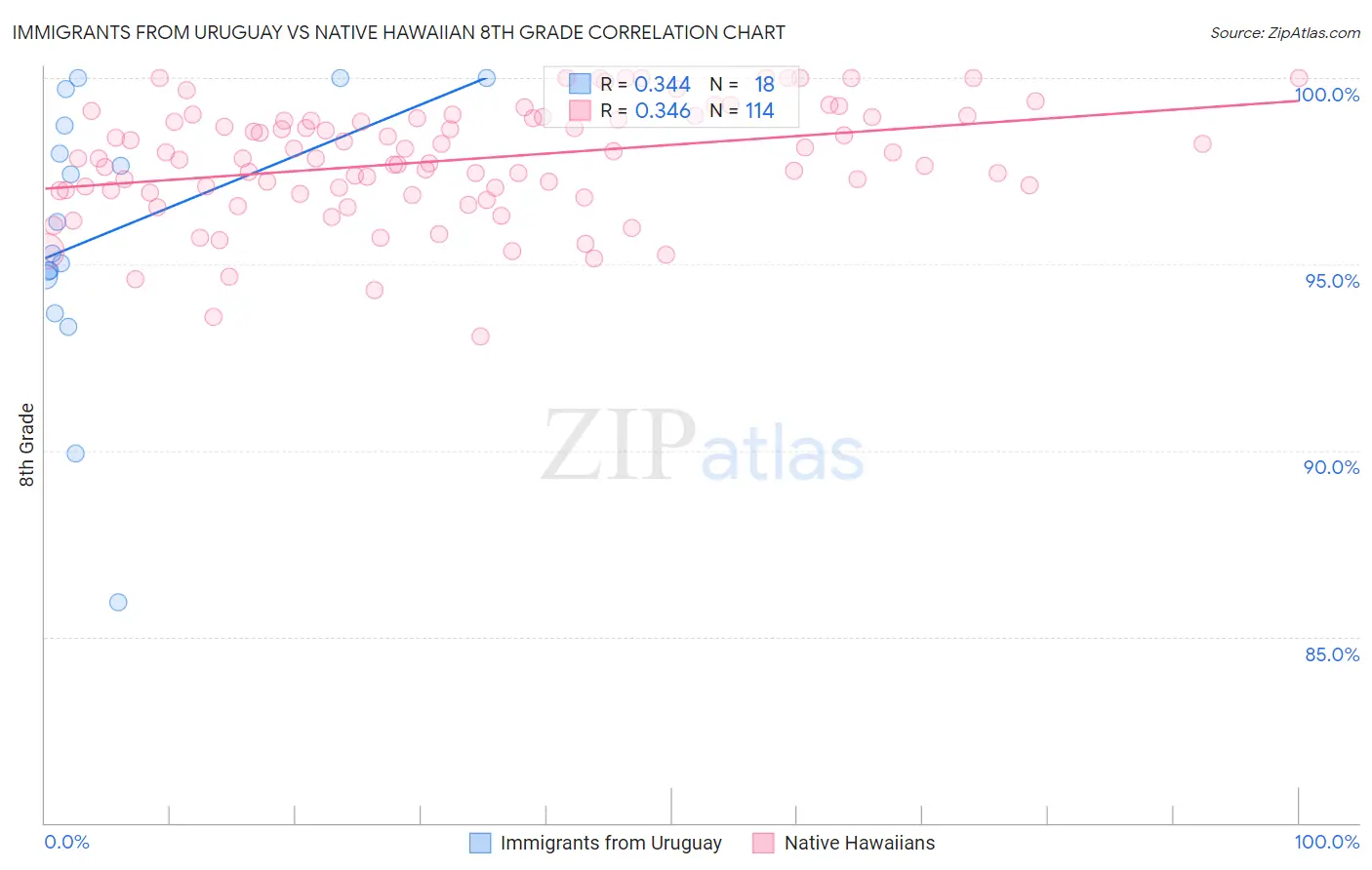 Immigrants from Uruguay vs Native Hawaiian 8th Grade