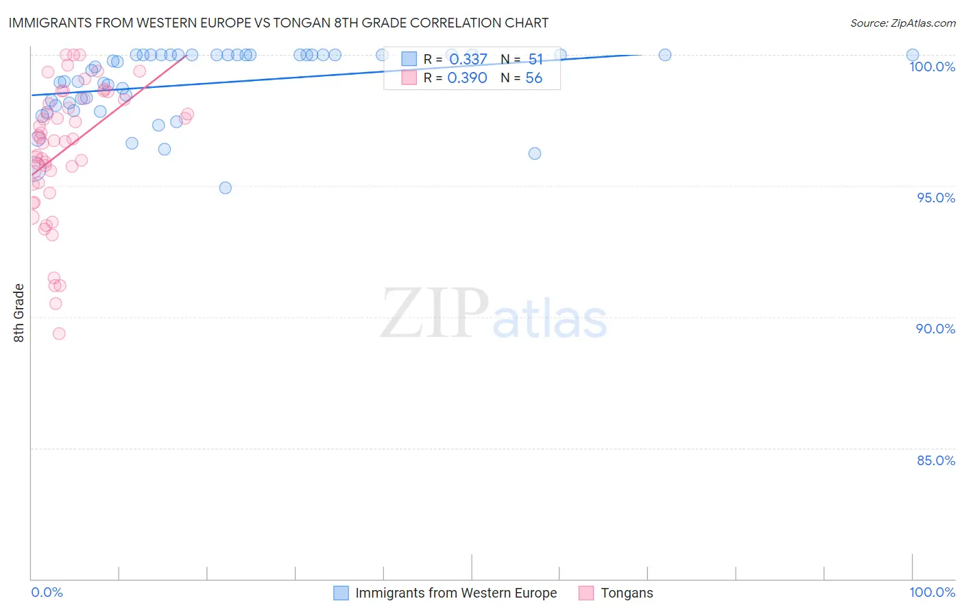 Immigrants from Western Europe vs Tongan 8th Grade