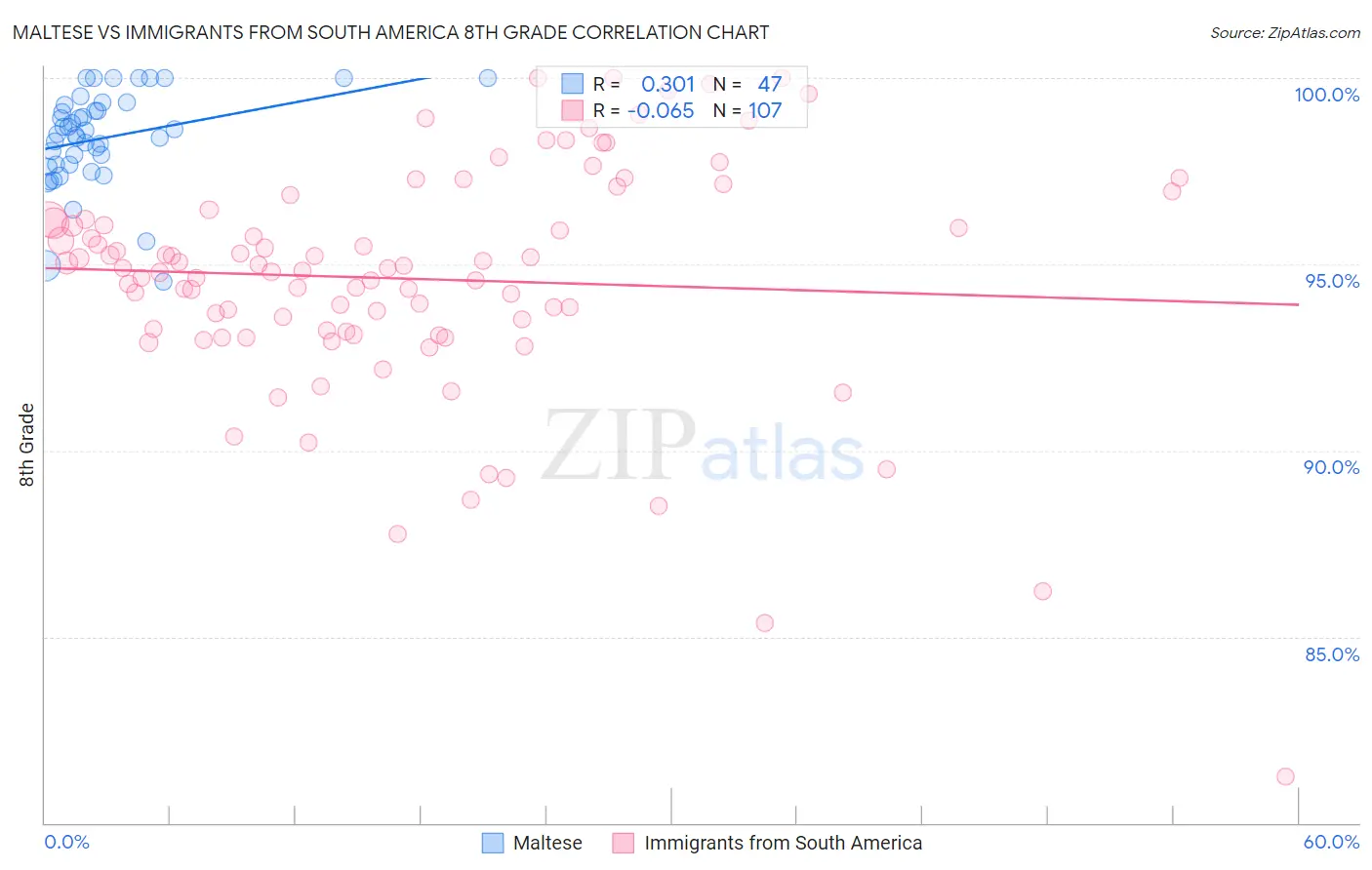 Maltese vs Immigrants from South America 8th Grade