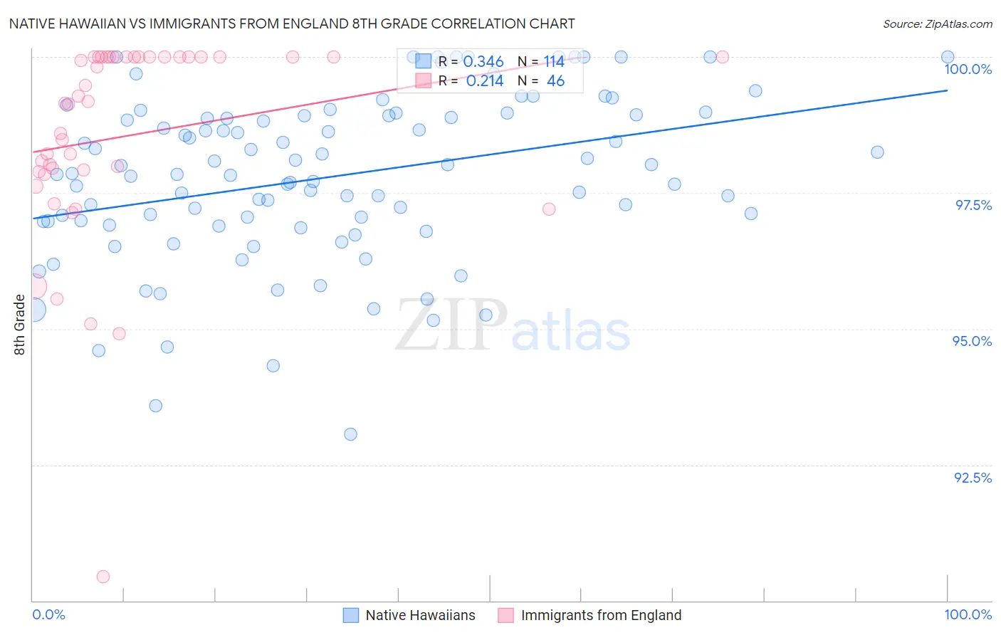 Native Hawaiian vs Immigrants from England 8th Grade