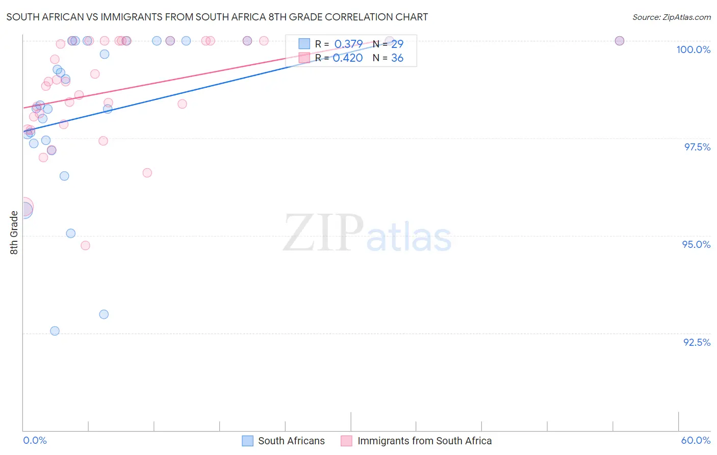 South African vs Immigrants from South Africa 8th Grade