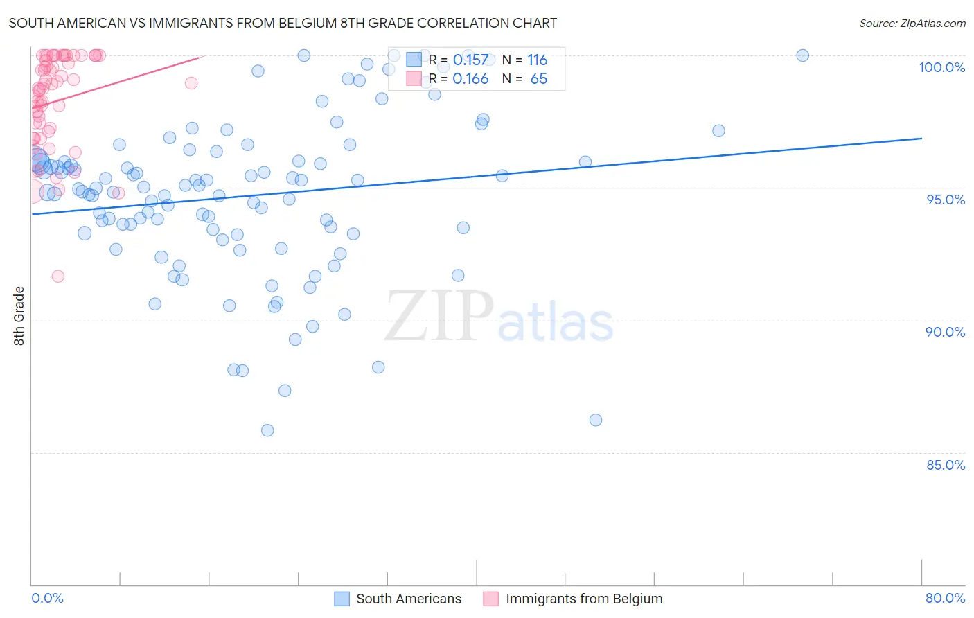 South American vs Immigrants from Belgium 8th Grade