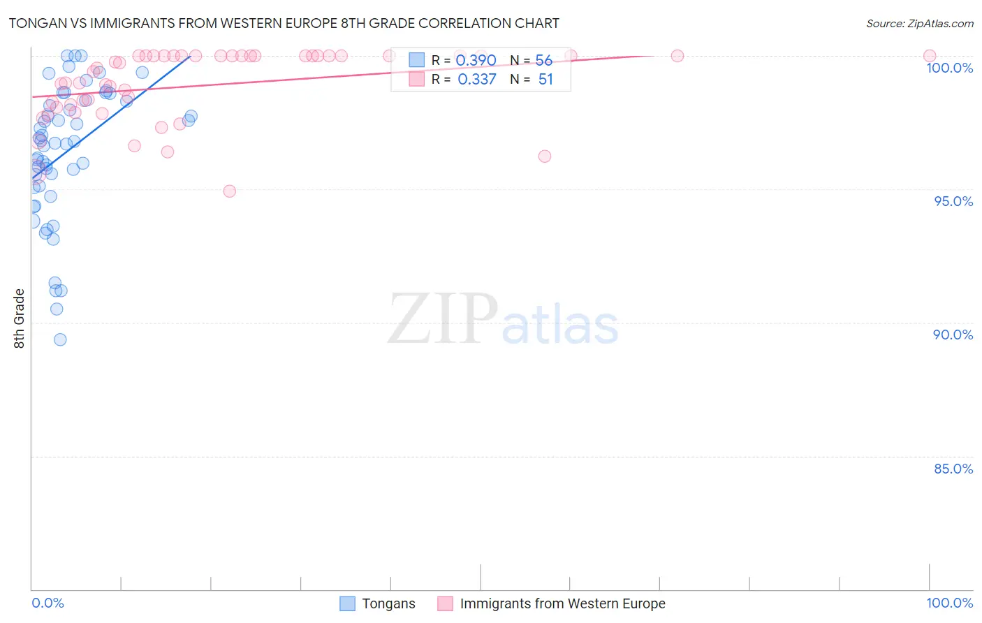 Tongan vs Immigrants from Western Europe 8th Grade
