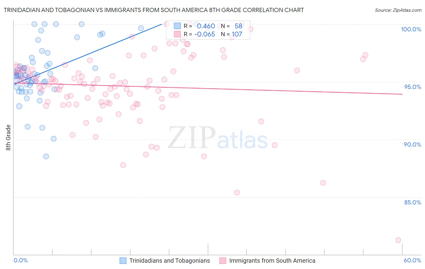 Trinidadian and Tobagonian vs Immigrants from South America 8th Grade