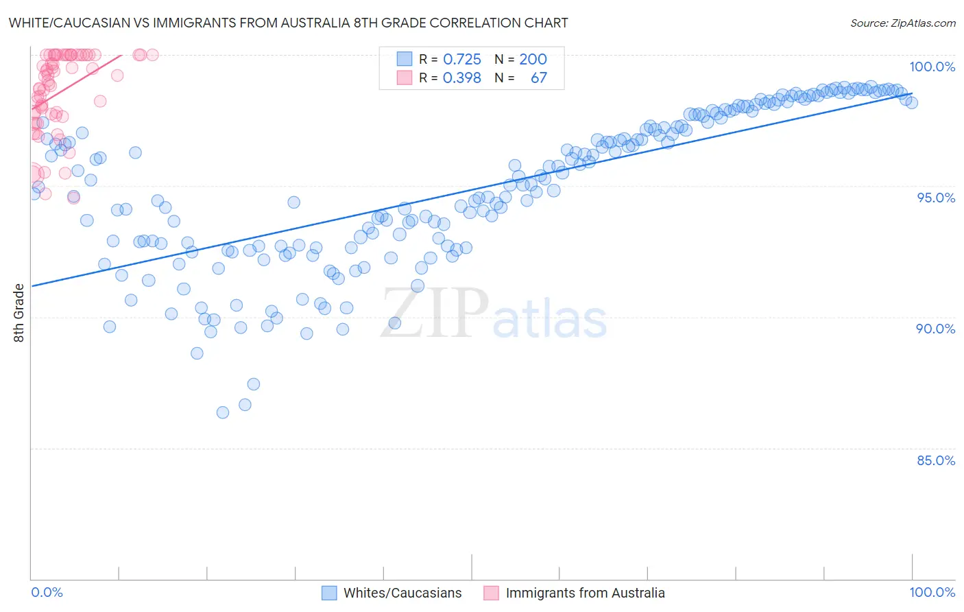 White/Caucasian vs Immigrants from Australia 8th Grade
