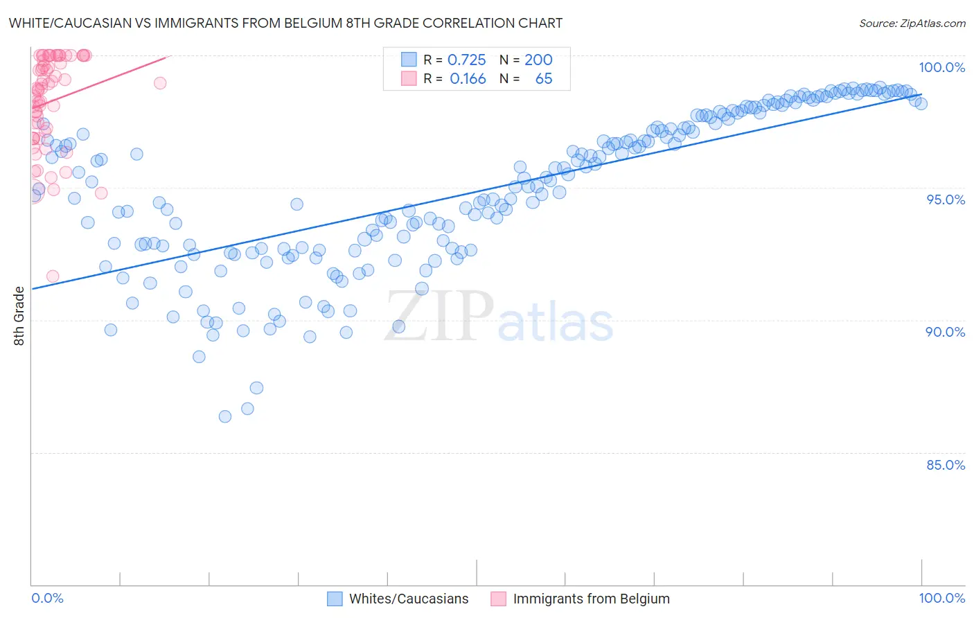 White/Caucasian vs Immigrants from Belgium 8th Grade