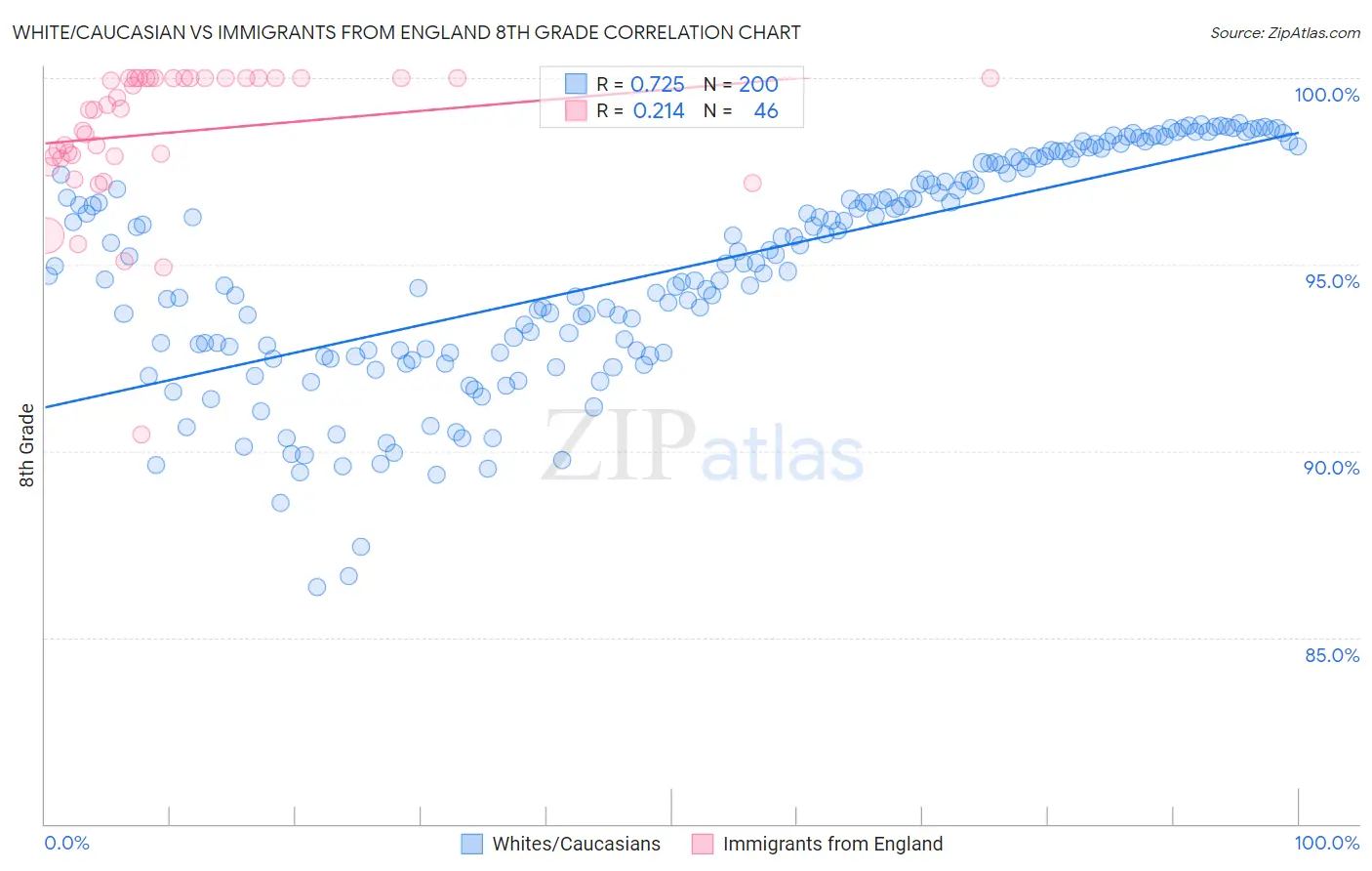 White/Caucasian vs Immigrants from England 8th Grade
