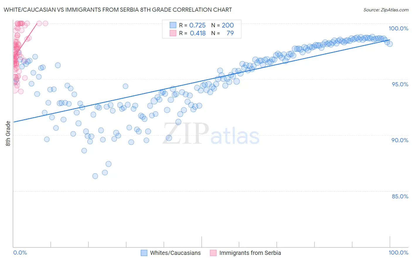 White/Caucasian vs Immigrants from Serbia 8th Grade