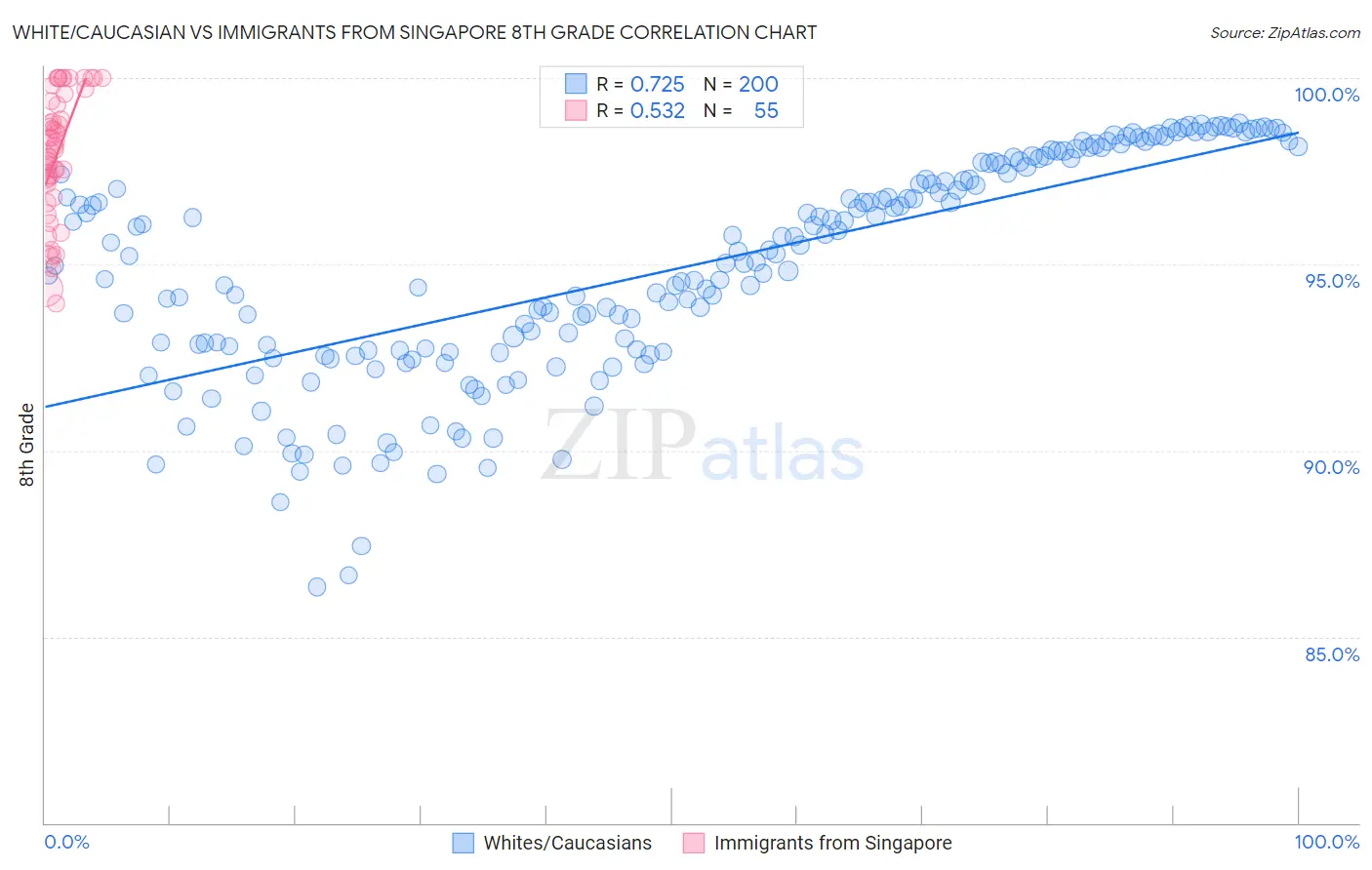 White/Caucasian vs Immigrants from Singapore 8th Grade