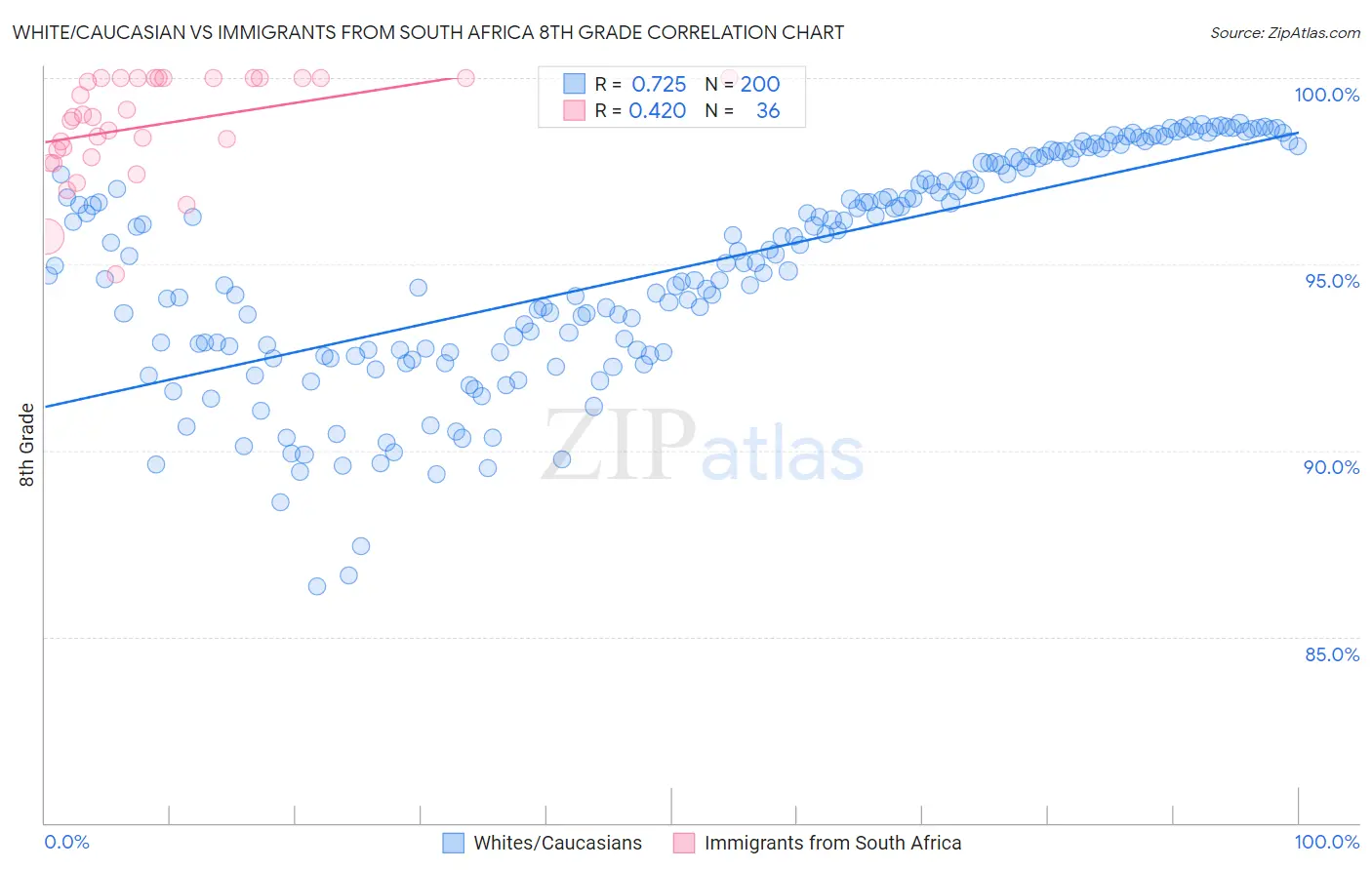 White/Caucasian vs Immigrants from South Africa 8th Grade
