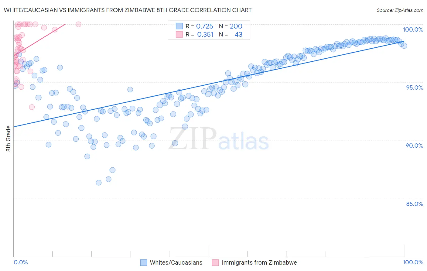 White/Caucasian vs Immigrants from Zimbabwe 8th Grade