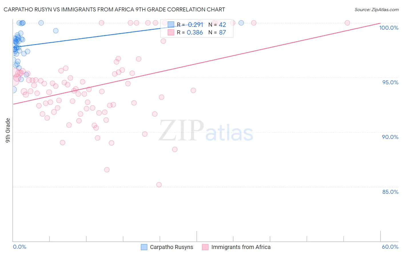 Carpatho Rusyn vs Immigrants from Africa 9th Grade