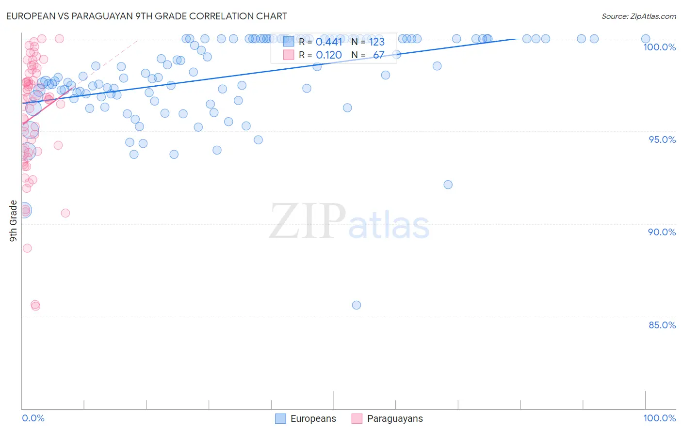 European vs Paraguayan 9th Grade