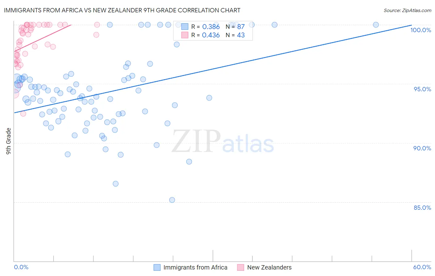 Immigrants from Africa vs New Zealander 9th Grade