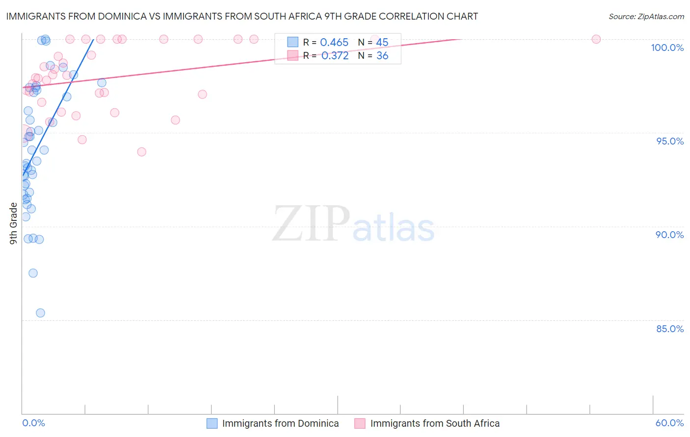 Immigrants from Dominica vs Immigrants from South Africa 9th Grade