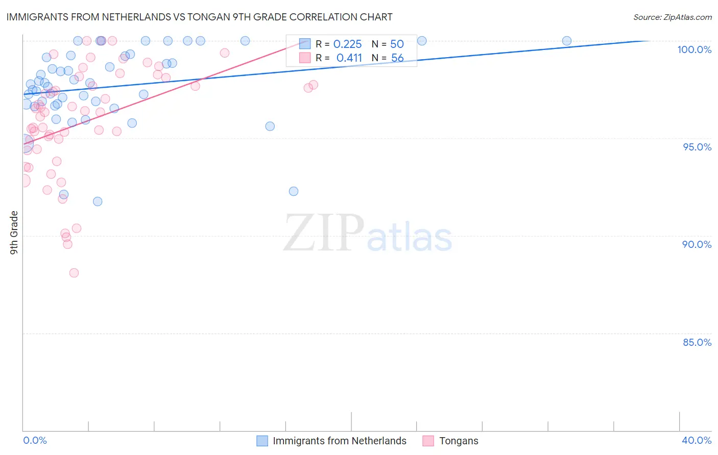 Immigrants from Netherlands vs Tongan 9th Grade