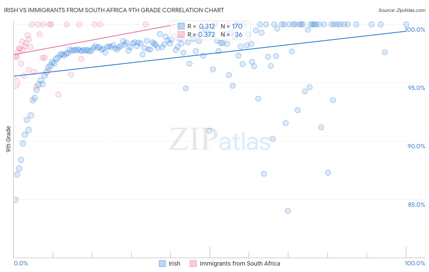 Irish vs Immigrants from South Africa 9th Grade