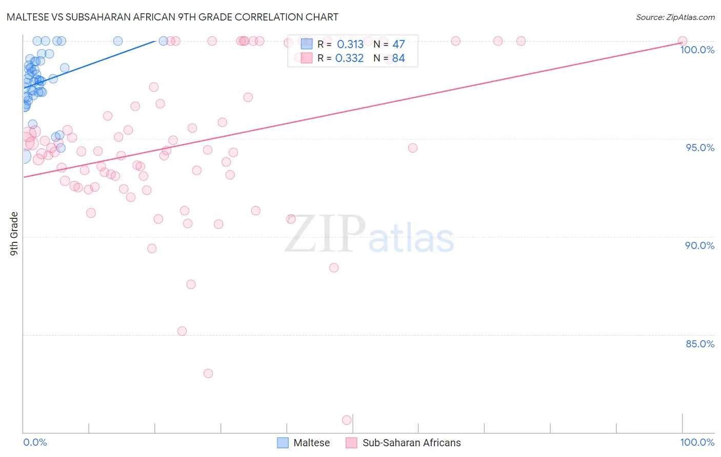 Maltese vs Subsaharan African 9th Grade