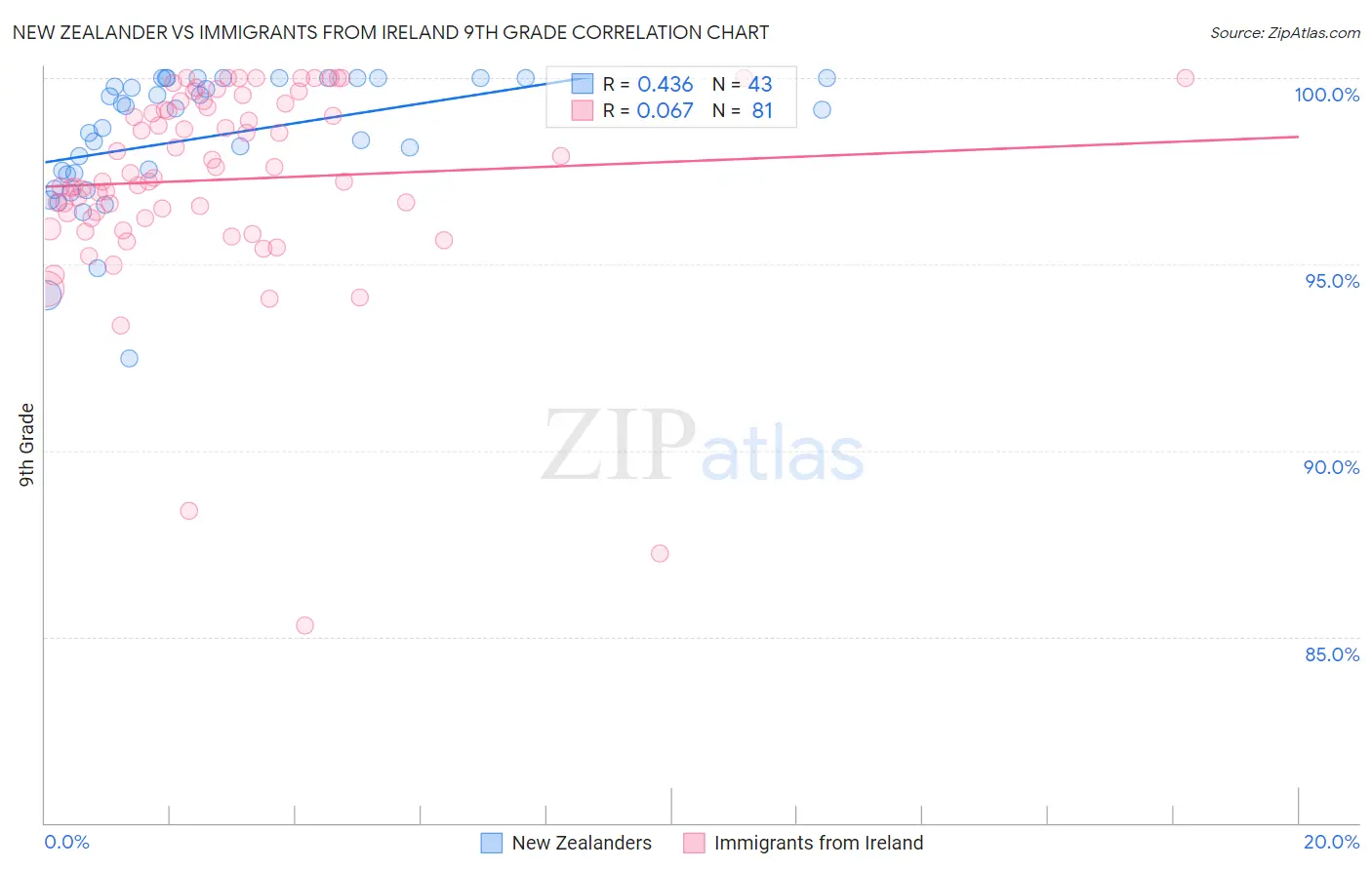 New Zealander vs Immigrants from Ireland 9th Grade