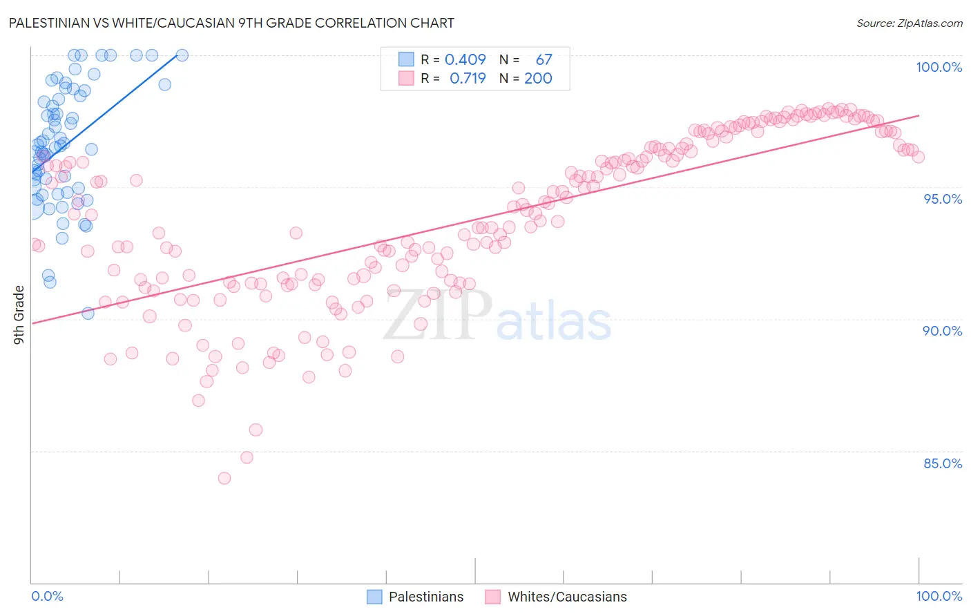 Palestinian vs White/Caucasian 9th Grade