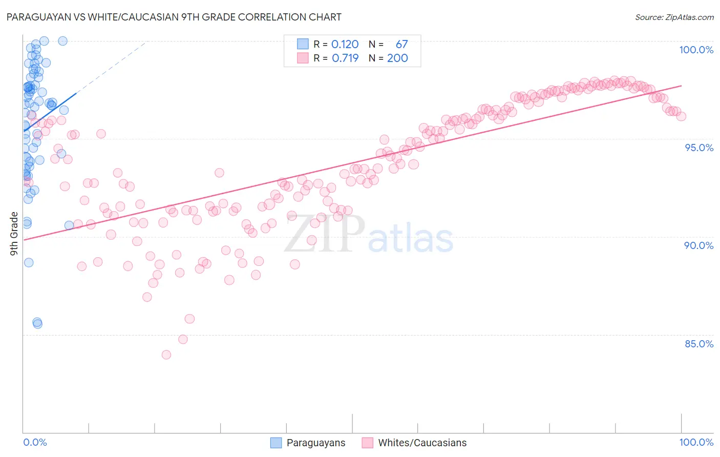 Paraguayan vs White/Caucasian 9th Grade