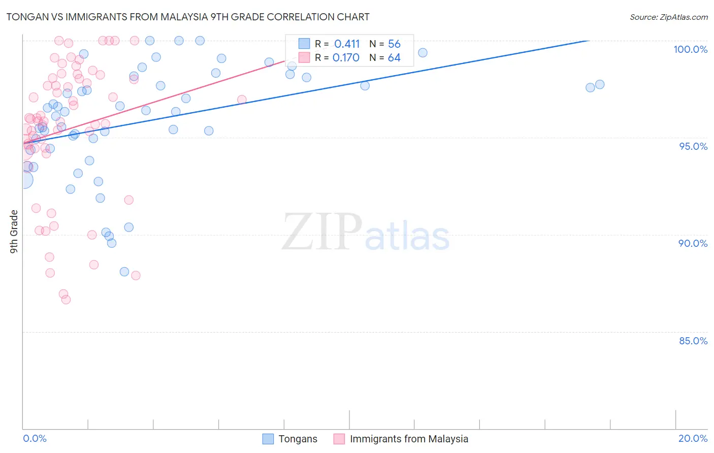 Tongan vs Immigrants from Malaysia 9th Grade