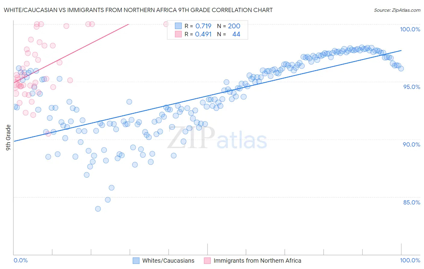 White/Caucasian vs Immigrants from Northern Africa 9th Grade