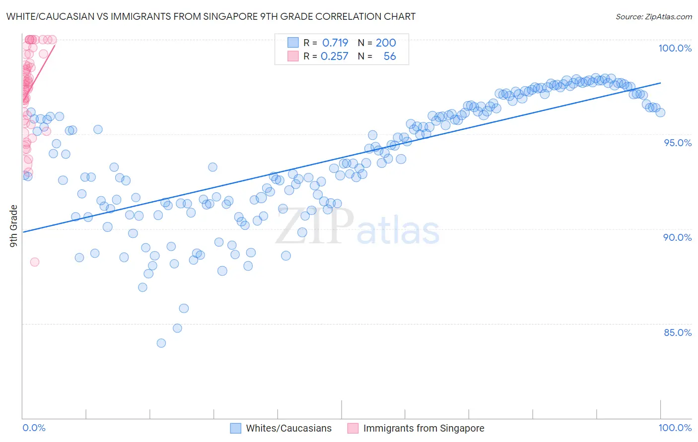 White/Caucasian vs Immigrants from Singapore 9th Grade