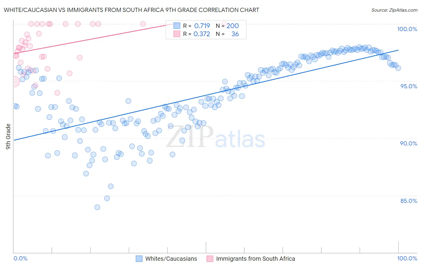 White/Caucasian vs Immigrants from South Africa 9th Grade