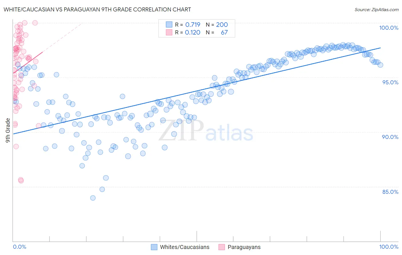White/Caucasian vs Paraguayan 9th Grade