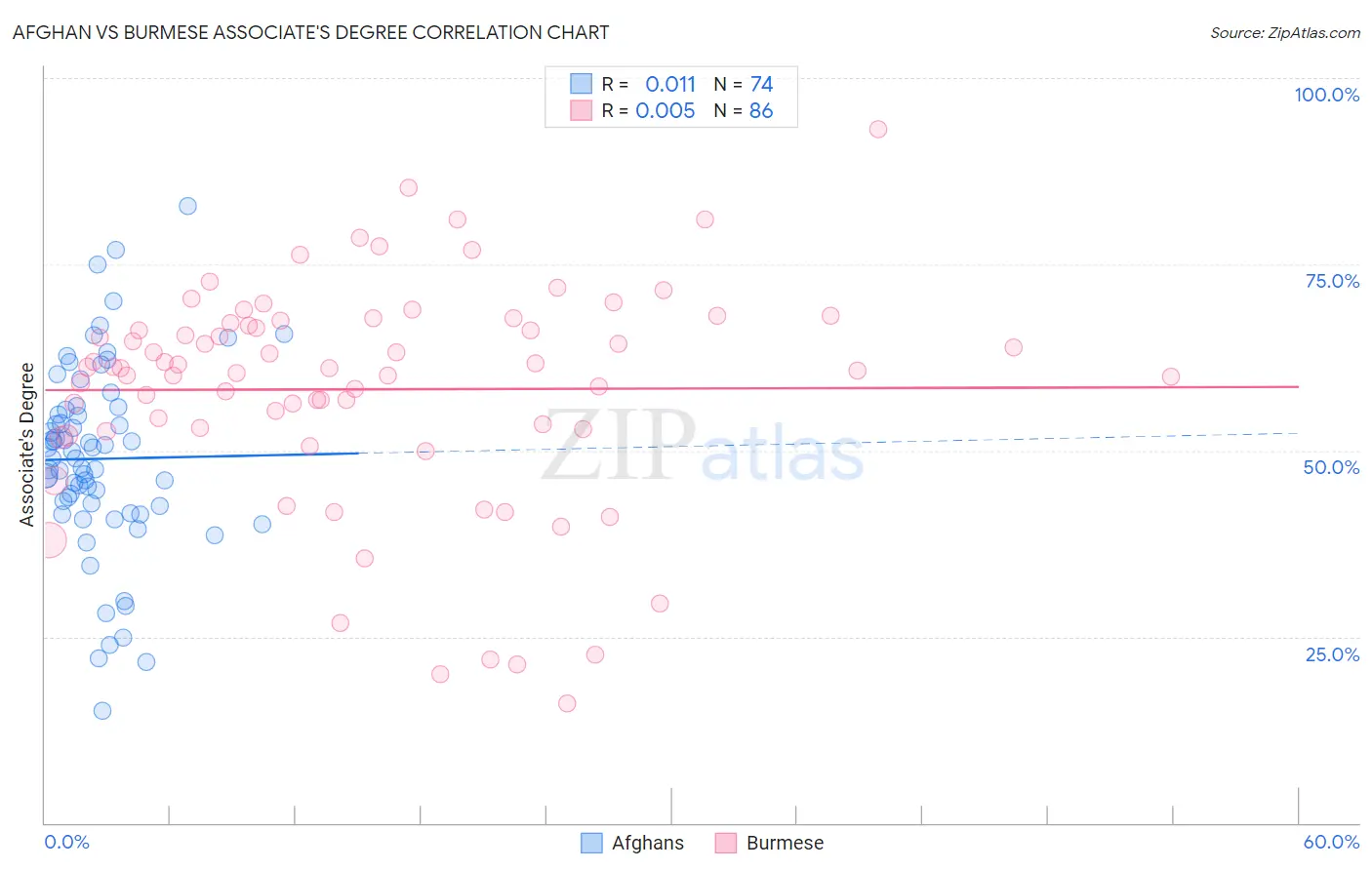 Afghan vs Burmese Associate's Degree