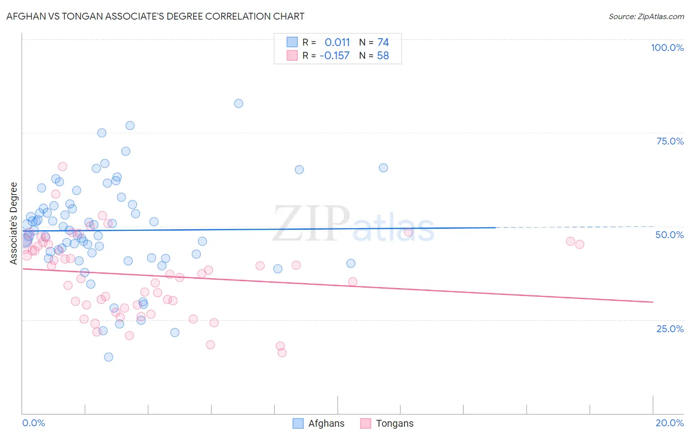 Afghan vs Tongan Associate's Degree