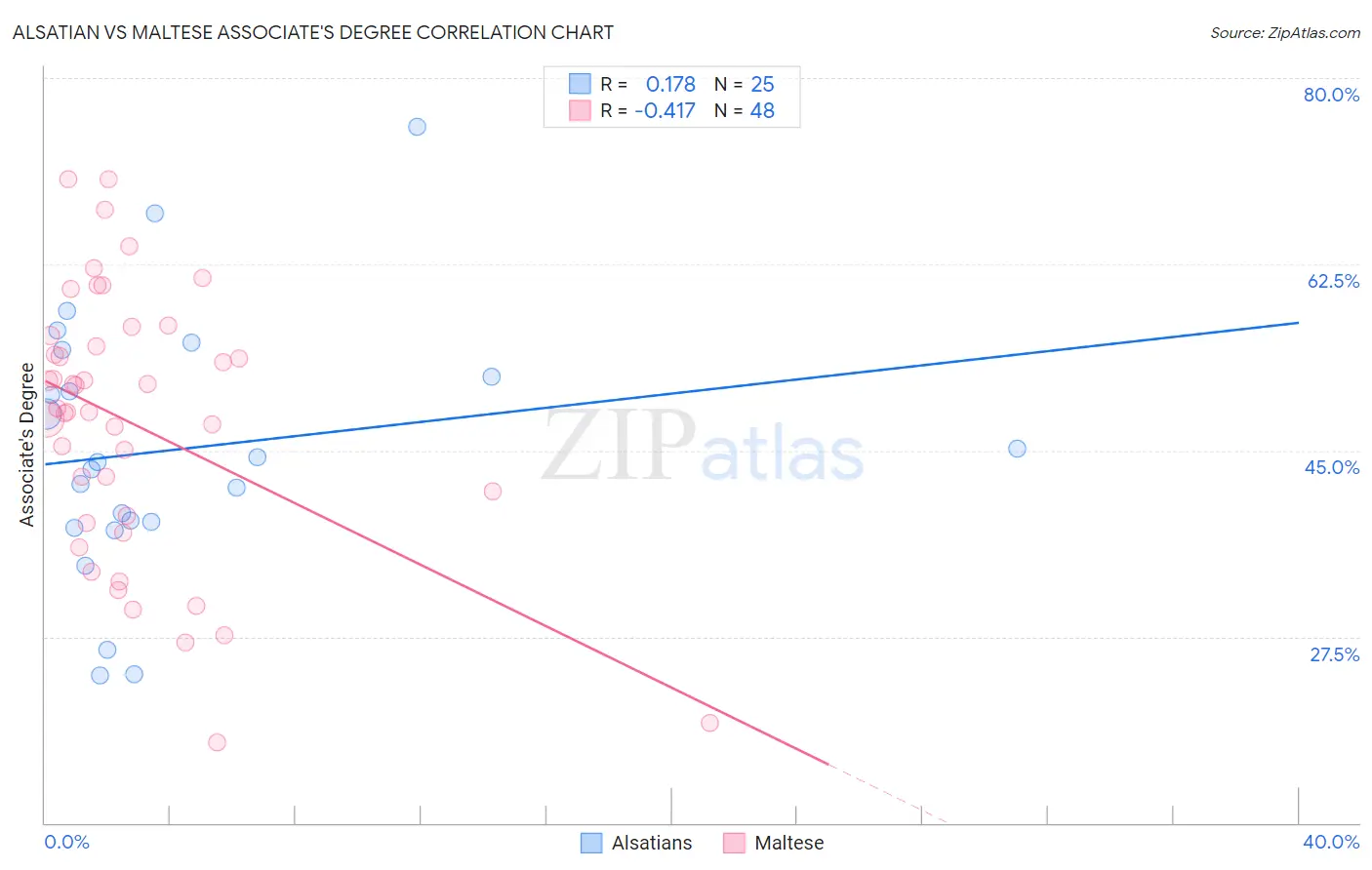 Alsatian vs Maltese Associate's Degree