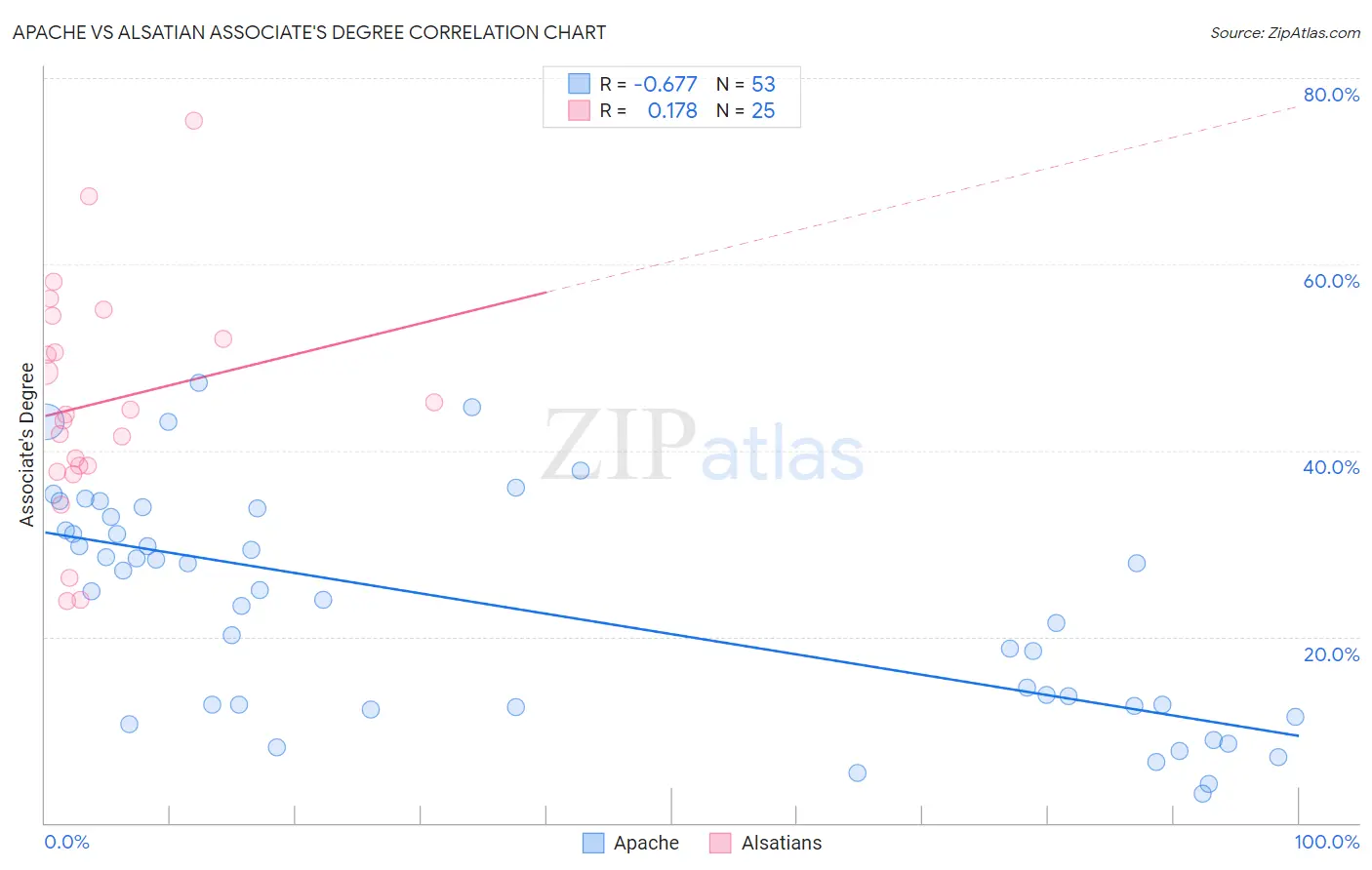 Apache vs Alsatian Associate's Degree