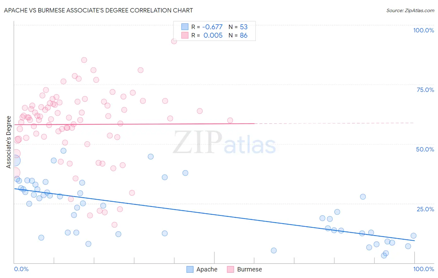 Apache vs Burmese Associate's Degree
