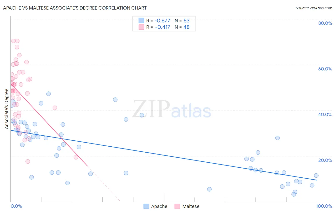 Apache vs Maltese Associate's Degree